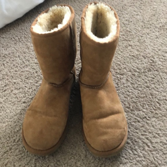 Classic Short Chestnut UGG Boots size 8 - Picture 1 of 6